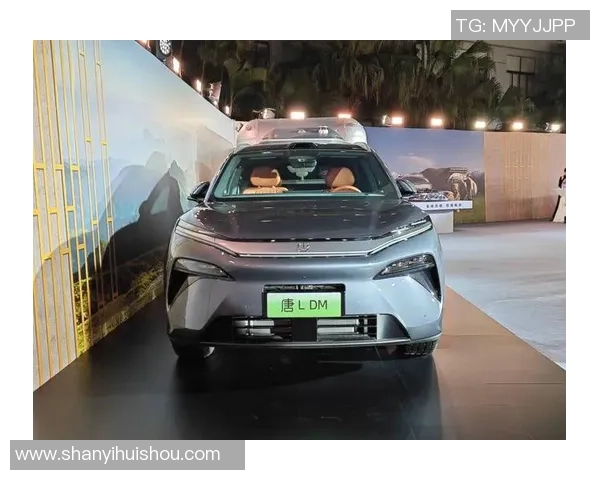 图片报：比亚迪方案冠名法兰克福主场，总价可达9000万欧